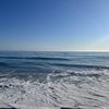 madi_bridges02