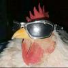 khalifa_bin_chicken