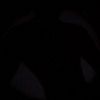 pan_yt2