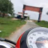 nh.bii