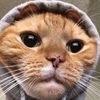 userdm8qhcsddk