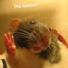 dothoanhatquadat