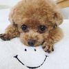 Animal Spotlight