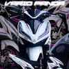 vario.panda30