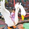 mah.dimas.ahsan