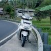 free.gosong