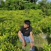 wardansaja