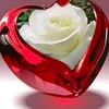 abidhussain7595