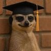 nomkhosidumakude