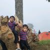 daffin_alfachry
