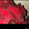 nothing_likethatt