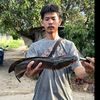 chaiyakhorn099
