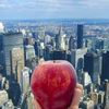 thebigapple113