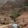 shro_shro21