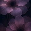 041222.z