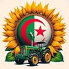 youssefghlizani2