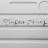 stimpumpring