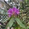 beabo_3