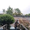 slamet.mamek3