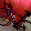 sansonete25