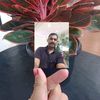 mr1810879