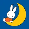 inmynightdress