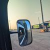 tupai_alaska15