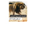saudi_alonzi