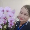 hoabingan30