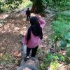 aiyulie