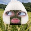zahirul.tu.sipa2