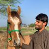 kaifwattoo