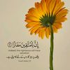 Quran online Alain uae