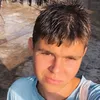 archie_bull20