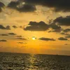 reggi_w77