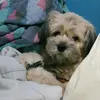 potatooooouuu