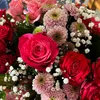 mel_aniie45