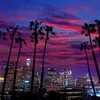 sarah_official011