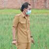 wahyuswastanto