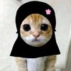 rahma50906