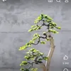vytuong0022
