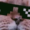 mayersla0