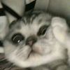 kiiiaw5