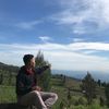 alltaro0628