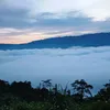truongquoc_truong