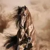 herodao