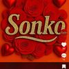 sonkorek132
