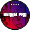 senseipro.yt