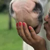ericacba