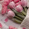 apricot7861